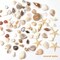 1200-Piece Tiny Sea Shells & Starfish Set – Natural Mixed Ocean Spiral Seashells for Home Decor, Wedding, Candle Making, Beach-Themed Party, DIY Crafts & Vase Filler